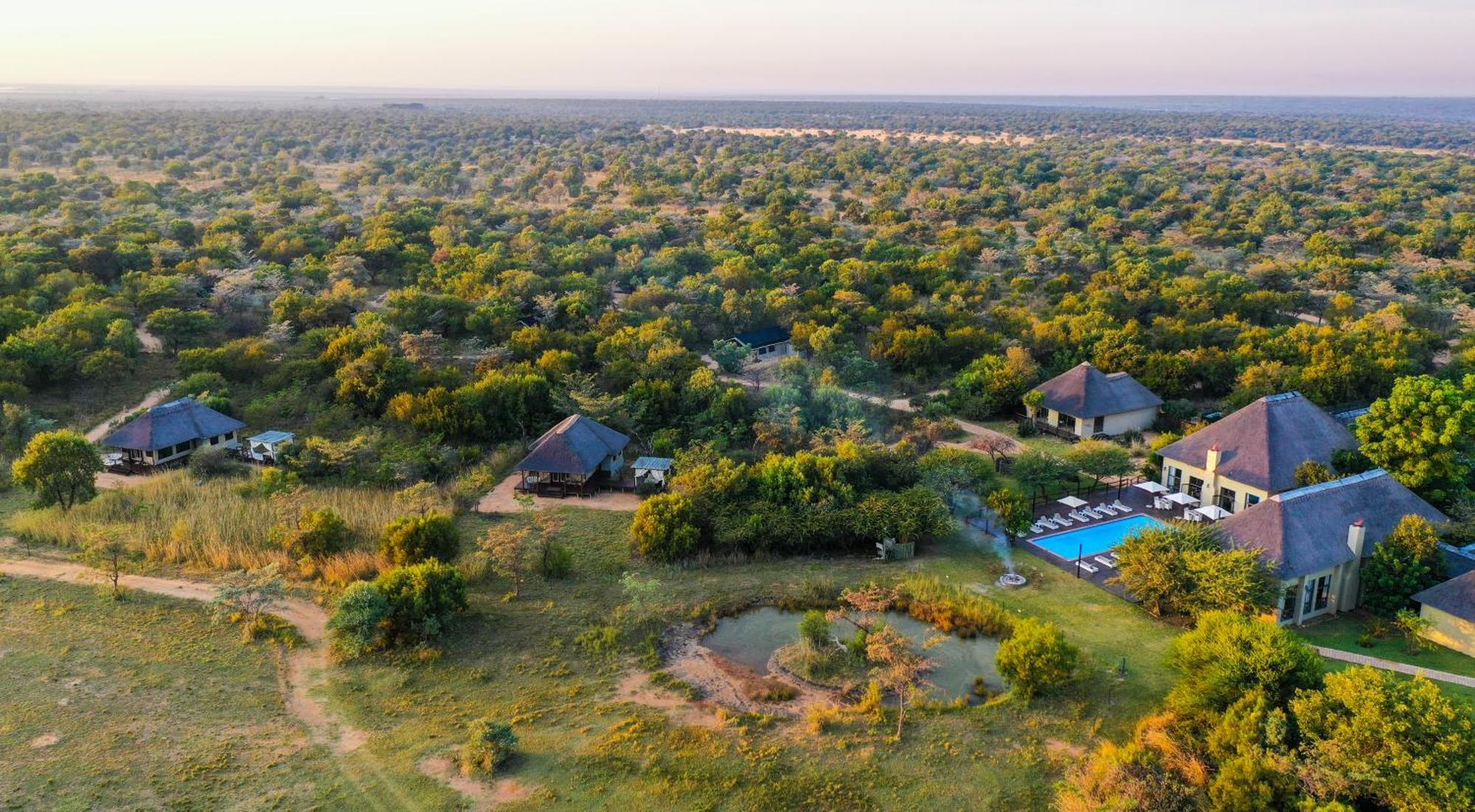 Villa Safari Plains Mabula Game Reserve Exterior foto