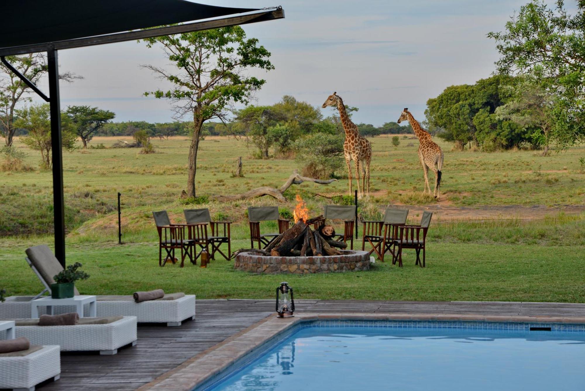 Villa Safari Plains Mabula Game Reserve Exterior foto